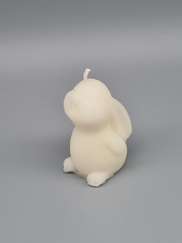 Konijn van Witte Bijenwas